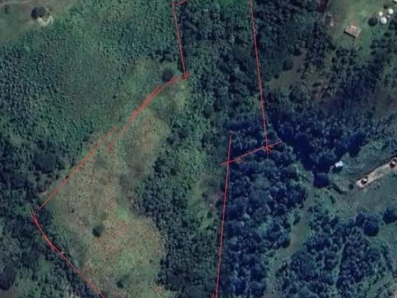 An aerial satellite view of the farm property showing the land boundaries and surrounding natural vegetation.