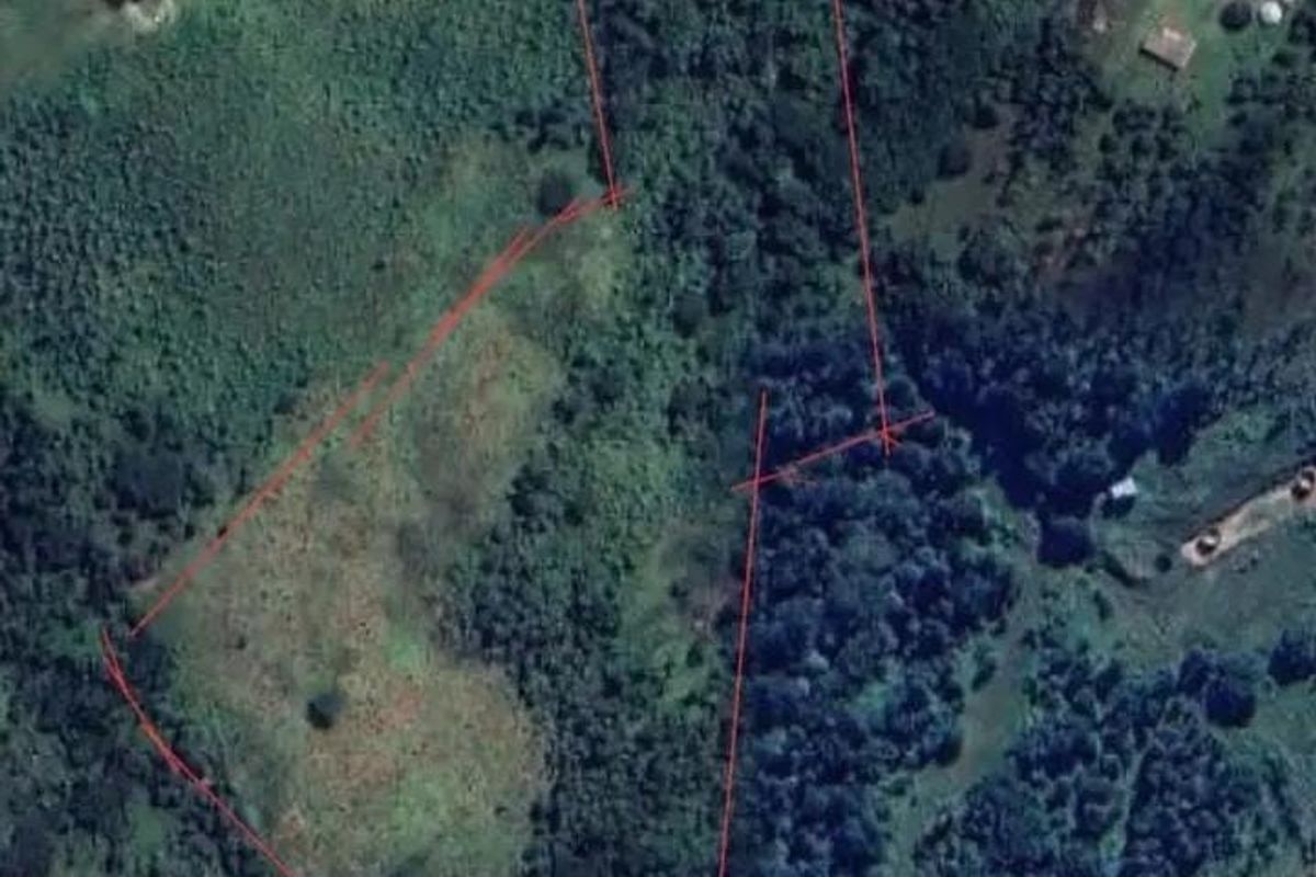 An aerial satellite view of the farm property showing the land boundaries and surrounding natural vegetation.