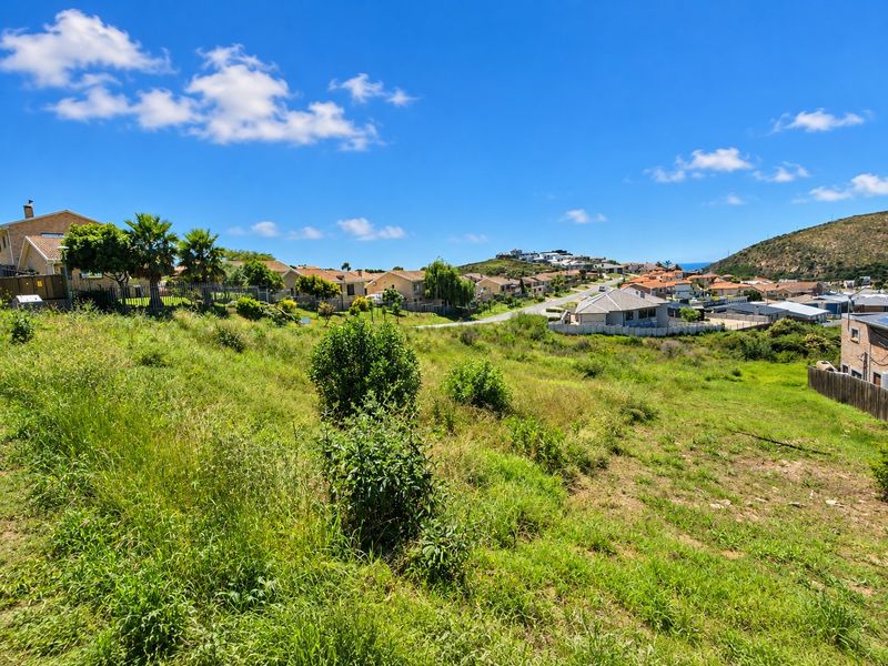 A view of the surrounding residential neighborhood and landscape from the vacant residential plot.