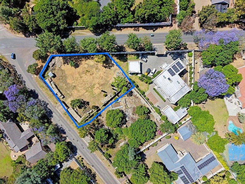 Aerial view of a vacant residential corner plot featuring established trees and boundary walls in a well-developed neighbourhood.