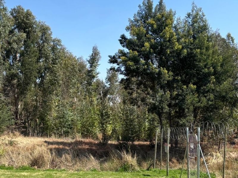 A view of the vacant commercial land featuring a maintained grass area, mature trees, and secure chain link fencing with razor wire.