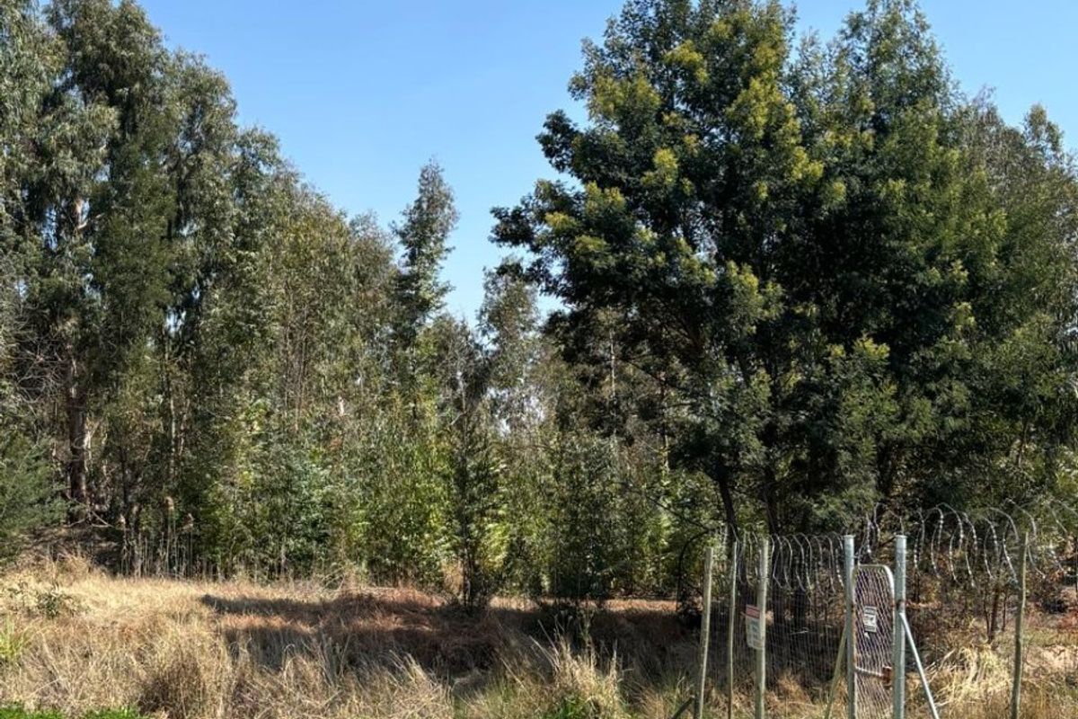 A view of the vacant commercial land featuring a maintained grass area, mature trees, and secure chain link fencing with razor wire.
