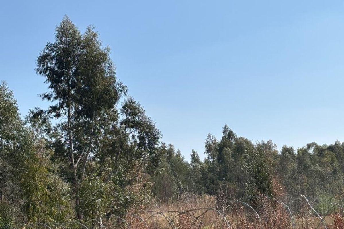 A view of the vacant commercial land featuring perimeter fencing with razor wire and mature trees.