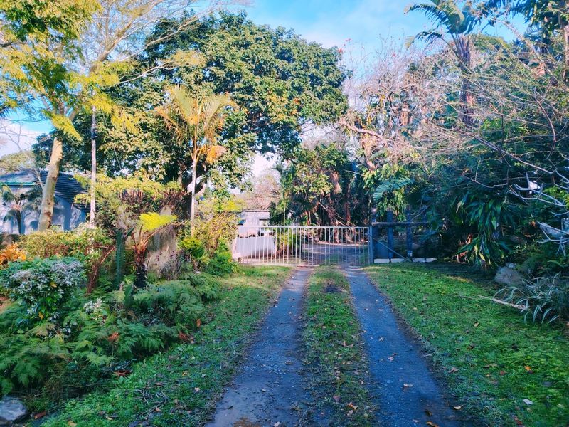 A view of the property entrance featuring a metal driveway gate, a paved driveway, and established garden landscaping.