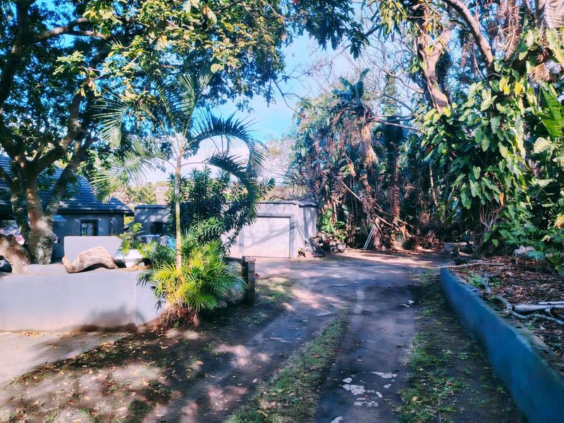 Front exterior view of the property featuring a driveway leading to a garage, surrounded by mature trees and established garden landscaping.