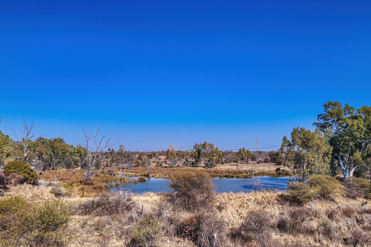 A scenic view of a natural pond surrounded by native vegetation and trees on a vacant residential land plot.