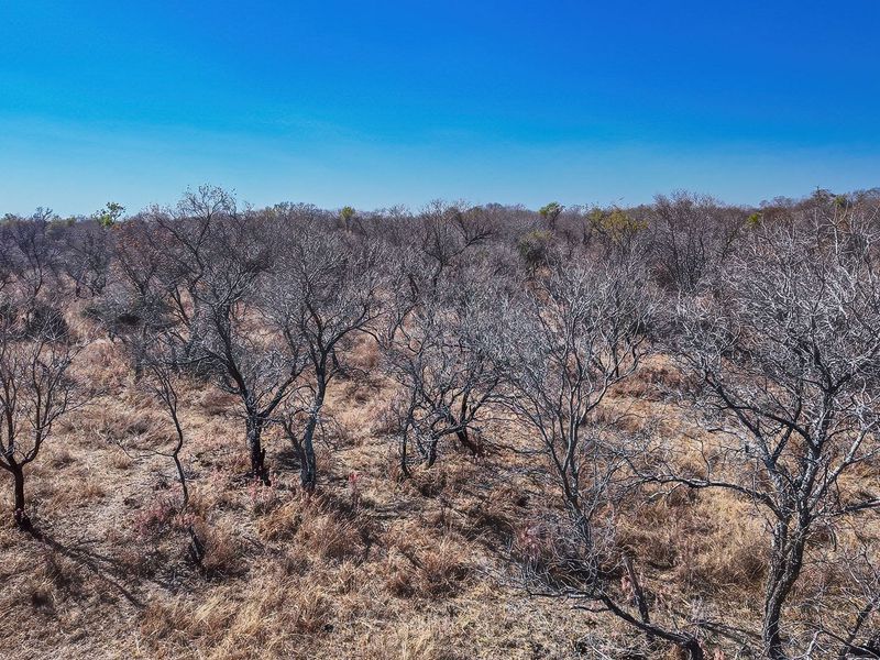 An aerial view of a vacant residential plot featuring natural dry bushveld vegetation and open landscape.
