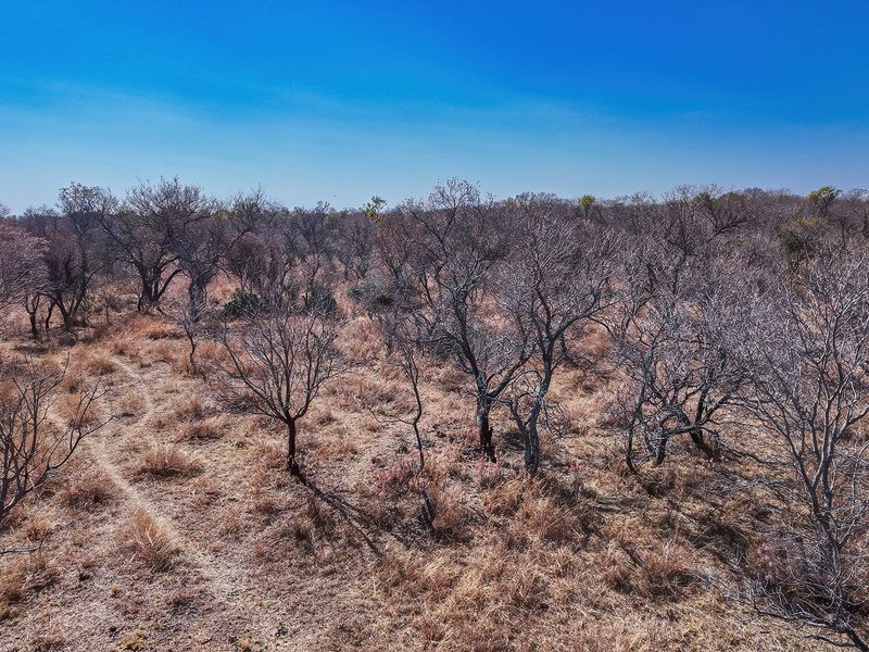 An aerial view of a vacant residential plot featuring natural dry bushveld vegetation and open terrain.