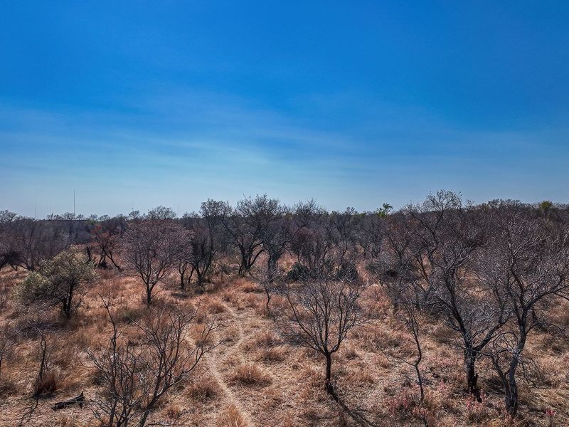 An aerial view of a vacant residential land plot featuring natural vegetation and open terrain.
