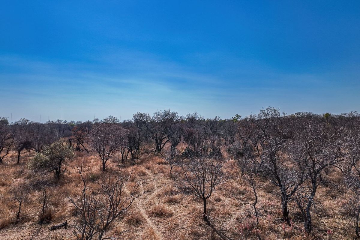 An aerial view of a vacant residential land plot featuring natural vegetation and open terrain.