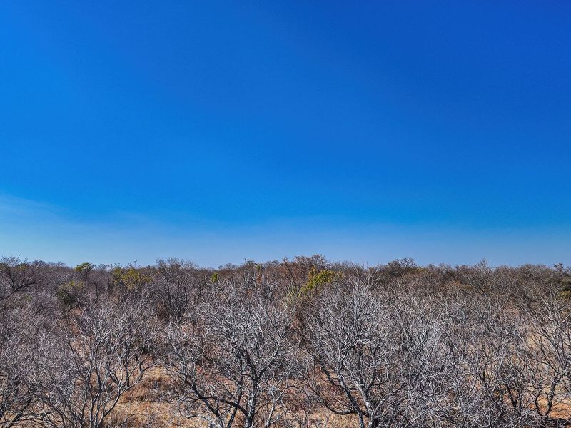 An aerial view of a vacant residential plot featuring natural woodland and native vegetation under a clear blue sky.