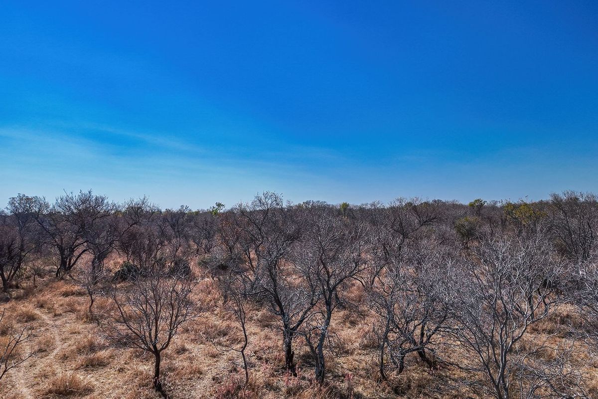 An aerial view of a vacant residential plot featuring natural bushveld vegetation and open landscape.