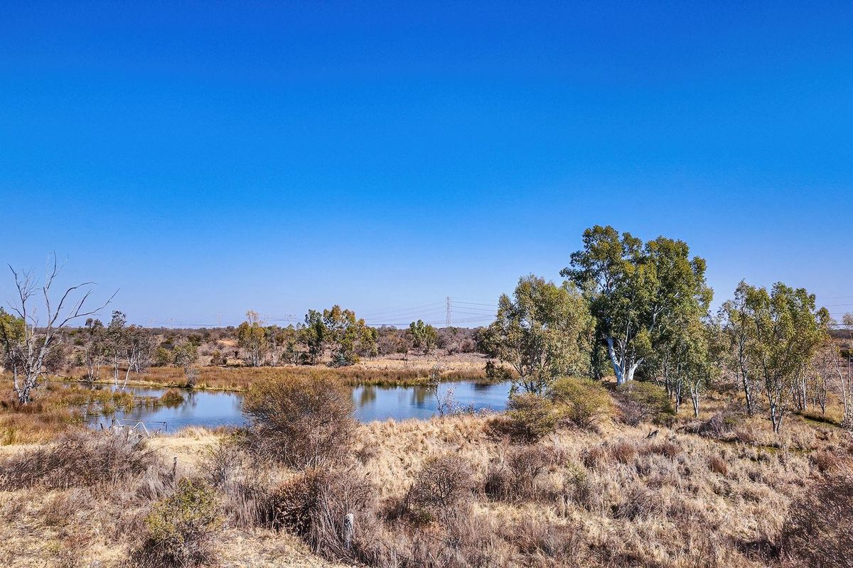 A scenic view of a natural dam surrounded by native trees and open landscape on the farm property.