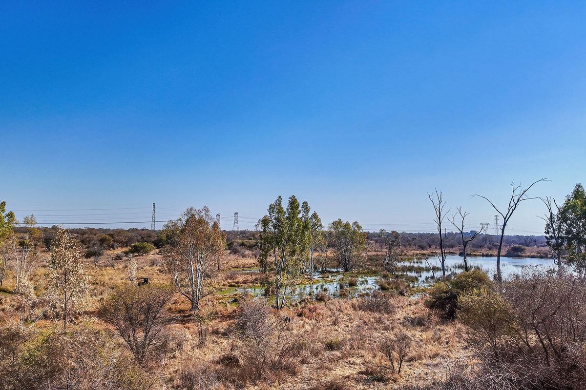 A scenic view of the natural wetland and indigenous landscape on the farm property under a clear blue sky.