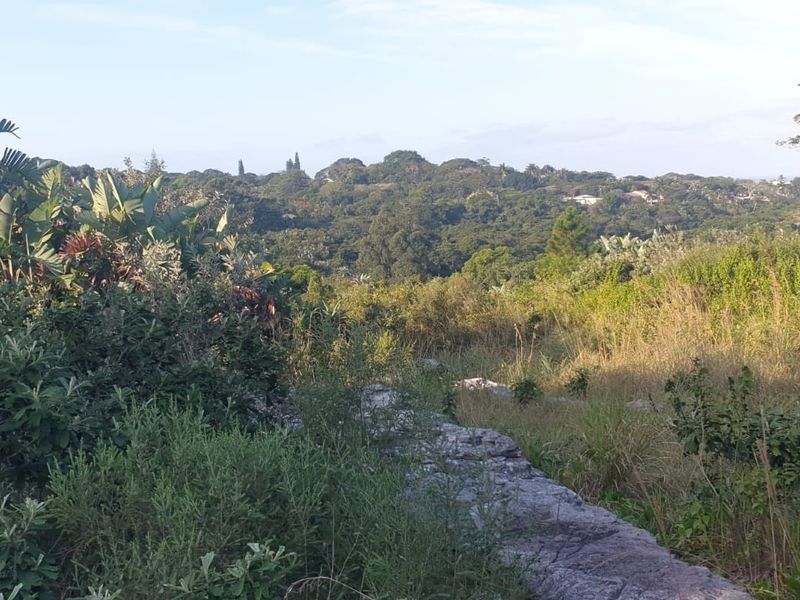 A scenic view of the natural landscape and surrounding greenery, showcasing the undeveloped terrain of the residential property.