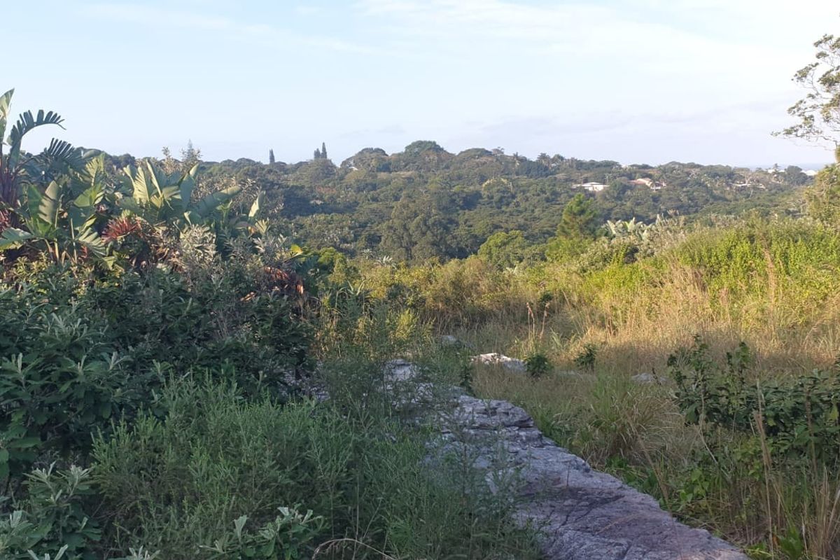 A scenic view of the natural landscape and surrounding greenery, showcasing the undeveloped terrain of the residential property.