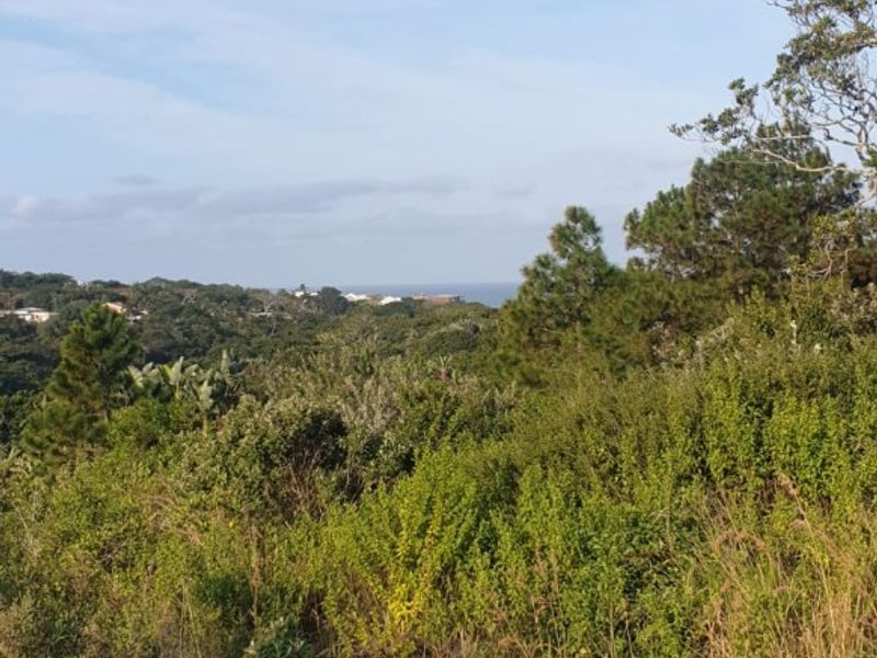 A scenic view overlooking lush coastal vegetation and distant landscape, showcasing the natural surroundings of the vacant residential land.