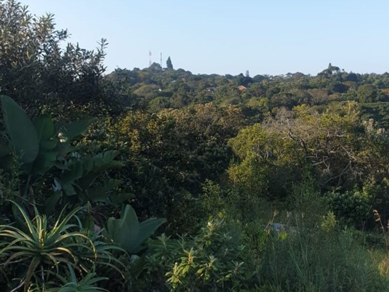 A scenic view of the surrounding natural landscape, featuring lush vegetation and rocky terrain on the vacant residential property.