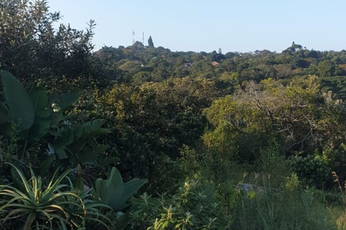 A scenic view of the surrounding natural landscape, featuring lush vegetation and rocky terrain on the vacant residential property.