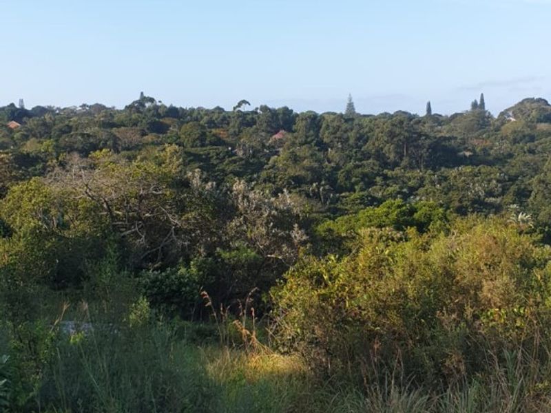 A scenic view of the natural landscape and surrounding greenery on the vacant residential property.