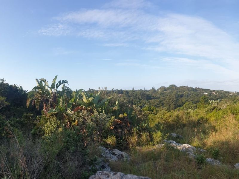 A panoramic view of the natural landscape and surrounding greenery from the vacant residential property.