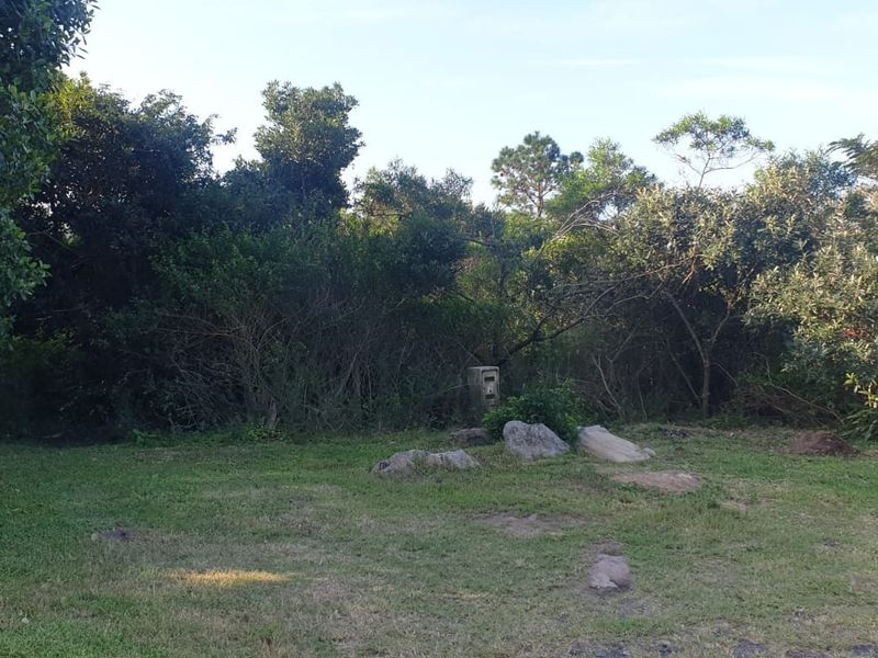 A view of a vacant residential plot featuring natural vegetation, established trees, and a utility meter box.