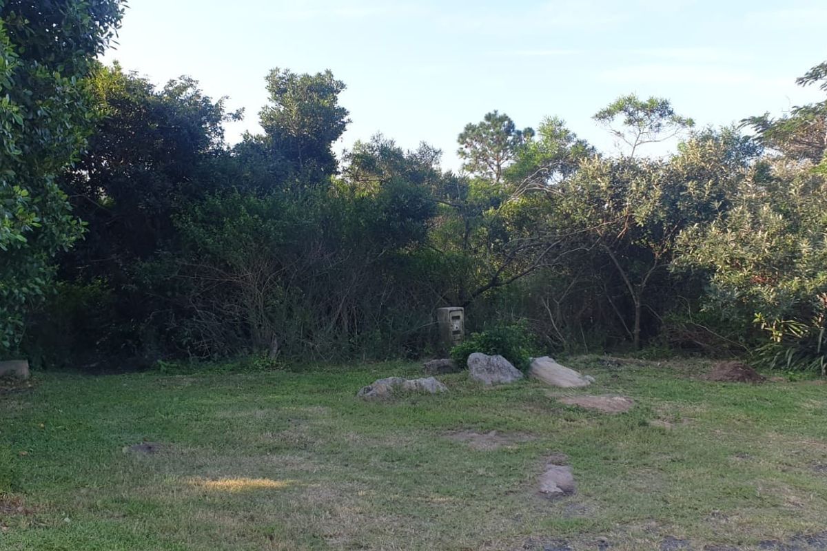 A view of a vacant residential plot featuring natural vegetation, established trees, and a utility meter box.