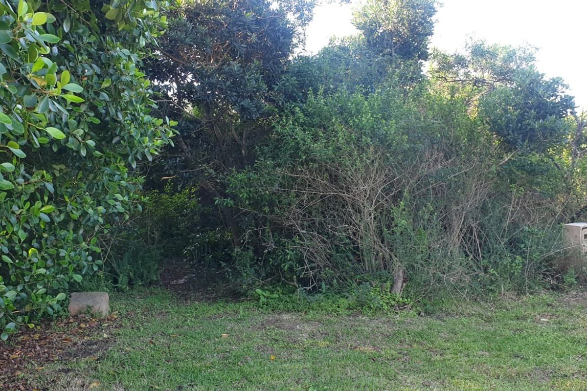A view of a residential plot featuring dense, mature vegetation and trees with a small mailbox visible on the right side.