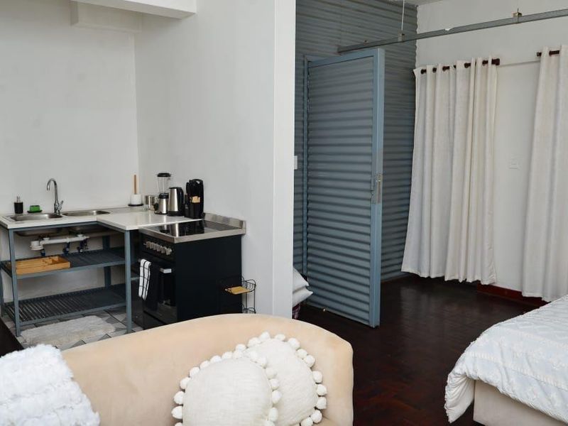 Open-plan studio apartment featuring a compact kitchenette with built-in stove and sink, hardwood flooring, and a corrugated metal partition wall.