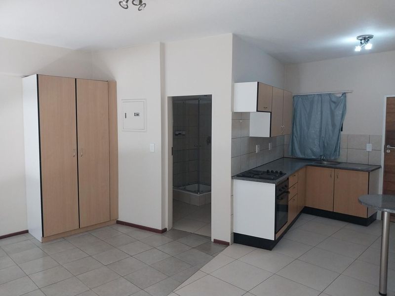 Open-plan kitchen and living area featuring built-in cabinetry, gas hob, oven, and direct access to a tiled bathroom with a shower cubicle.