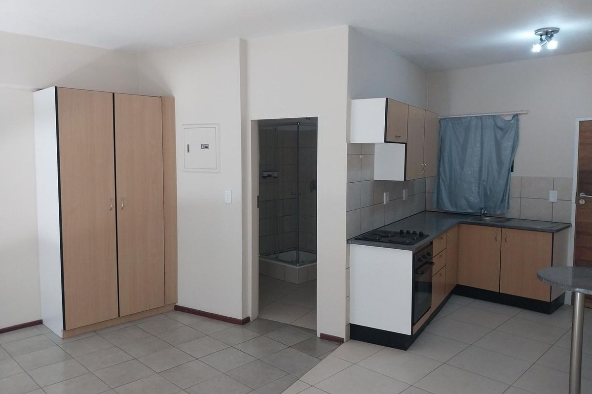 Open-plan kitchen and living area featuring built-in cabinetry, gas hob, oven, and direct access to a tiled bathroom with a shower cubicle.