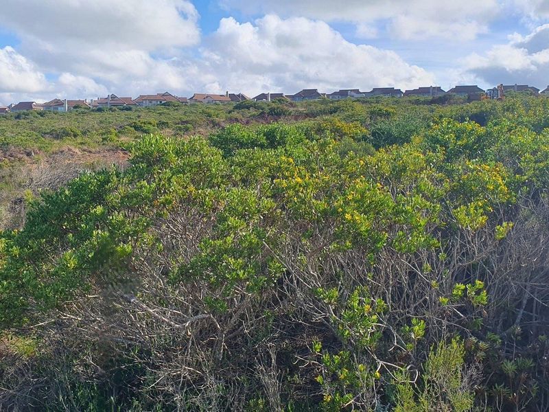 A view of a vacant residential plot covered in indigenous fynbos vegetation with established residential properties visible in the background.