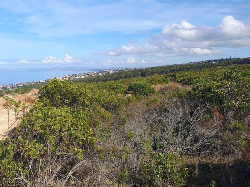 A scenic view overlooking a coastal landscape with native vegetation and distant residential development along the shoreline.