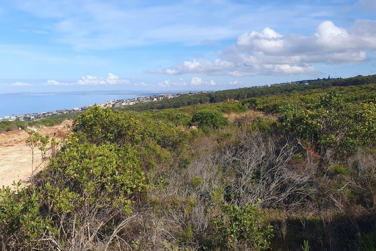 A scenic view overlooking a coastal landscape with native vegetation and distant residential development along the shoreline.