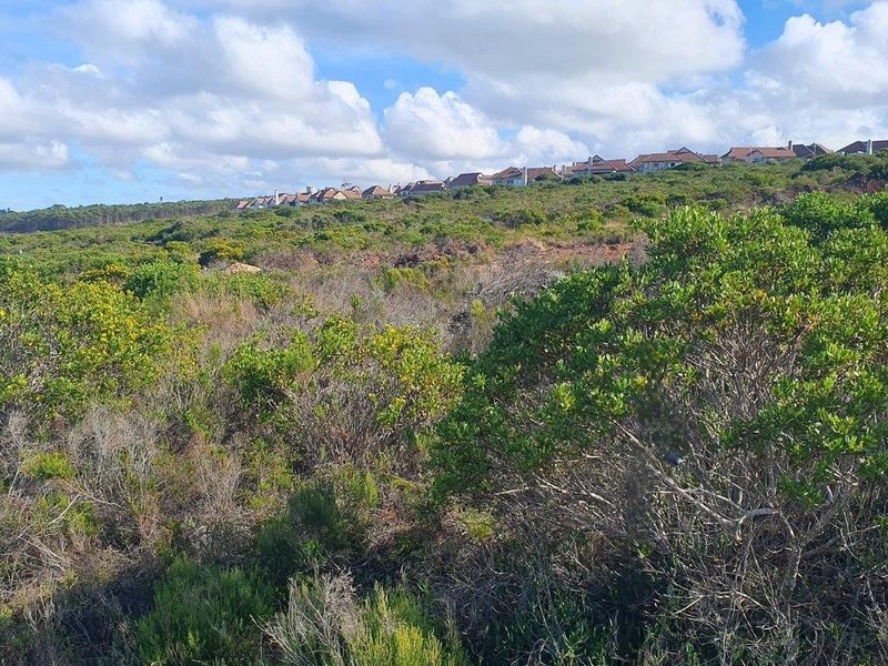 A view of the vacant residential land featuring natural indigenous vegetation with established residential properties visible in the distance.