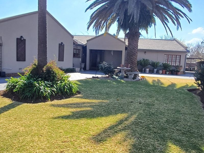 A well-maintained rear garden featuring a paved patio area, established palm tree, and neat lawn, providing a pleasant outdoor living space.