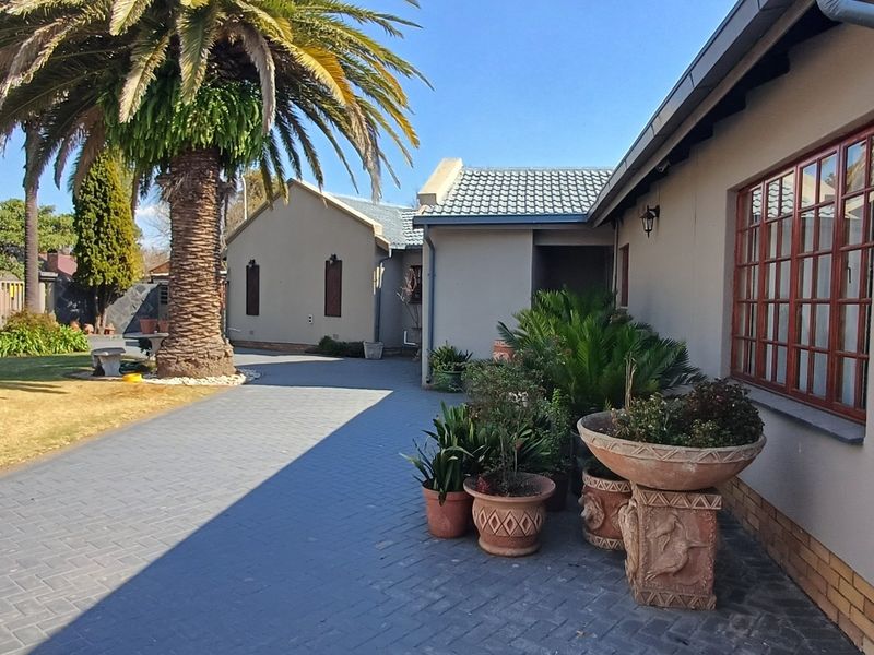A well-maintained rear exterior view featuring a paved driveway, established palm tree, and brick-walled house with timber-framed windows.