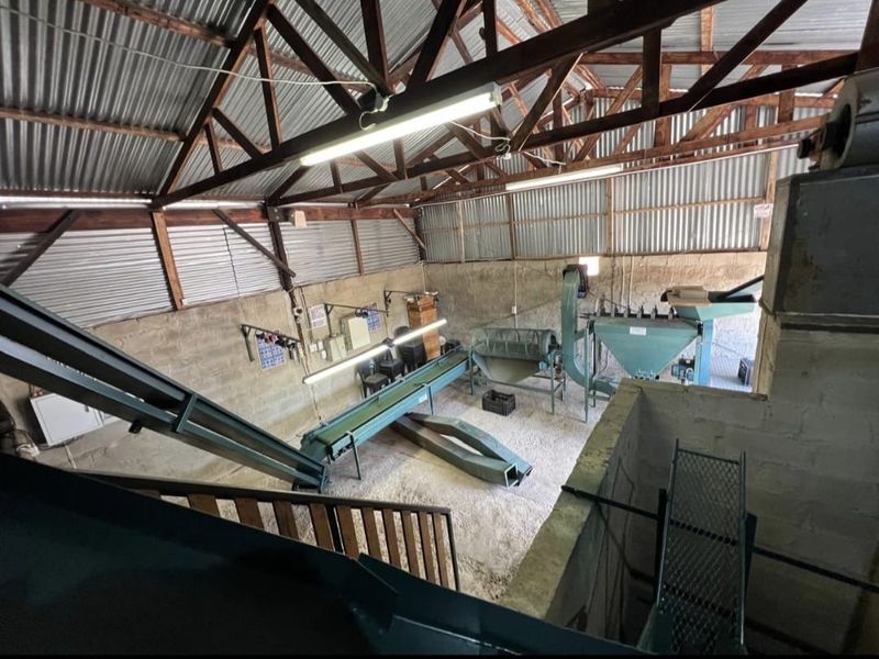 Industrial utility space featuring exposed timber roof trusses, corrugated metal walls, and integrated agricultural processing machinery with conveyor systems.