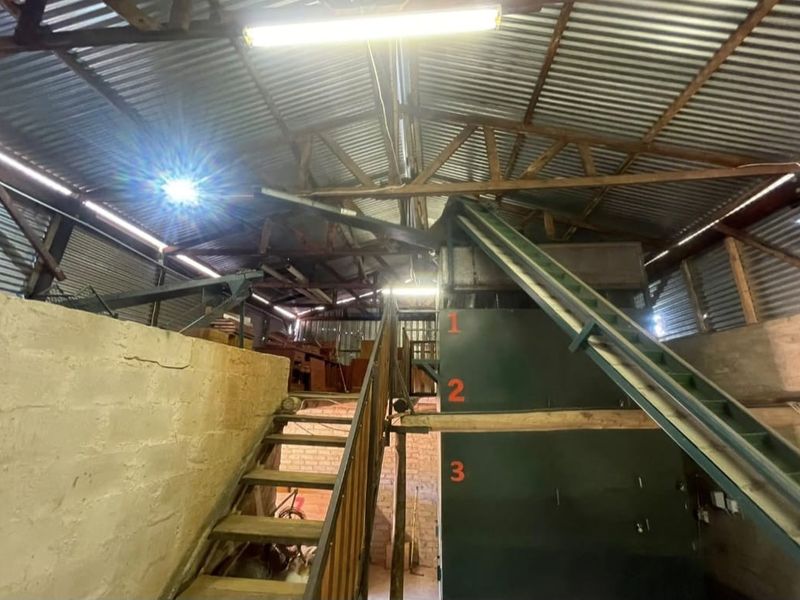 Industrial farm utility space featuring a high corrugated iron roof, exposed timber trusses, and a built-in conveyor system for agricultural processing.