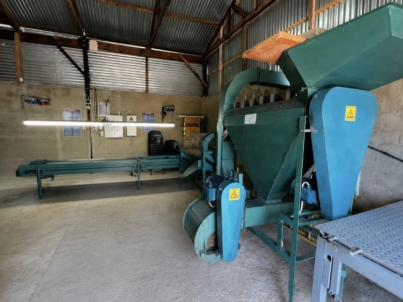 A functional farm utility space featuring industrial processing machinery, a conveyor belt system, concrete flooring, and exposed corrugated metal roofing.