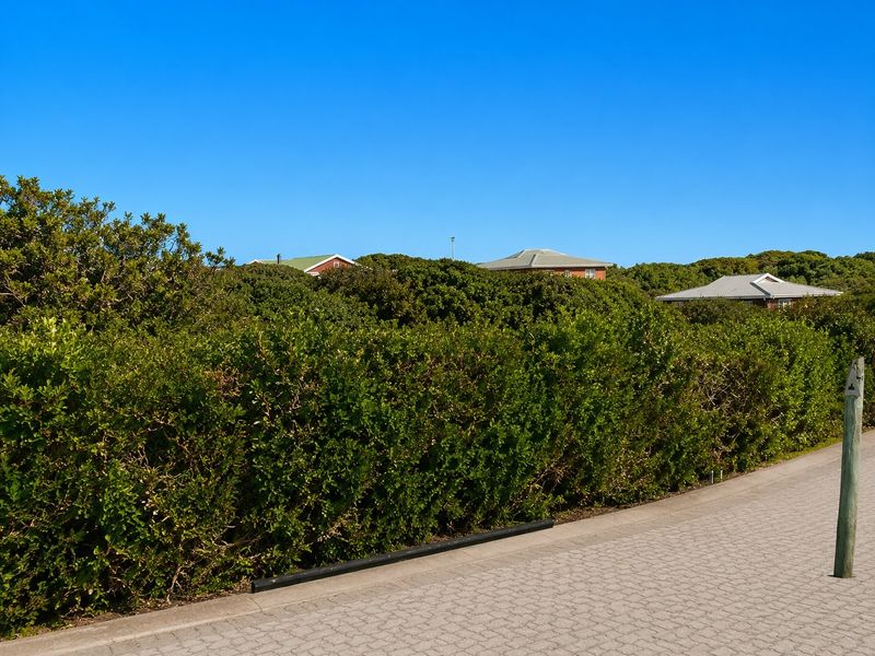 A view of a paved street and roadside hedging with residential properties visible in the background.