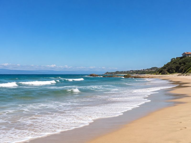 A scenic view of the sandy beach and ocean coastline, showcasing the natural landscape and coastal environment.
