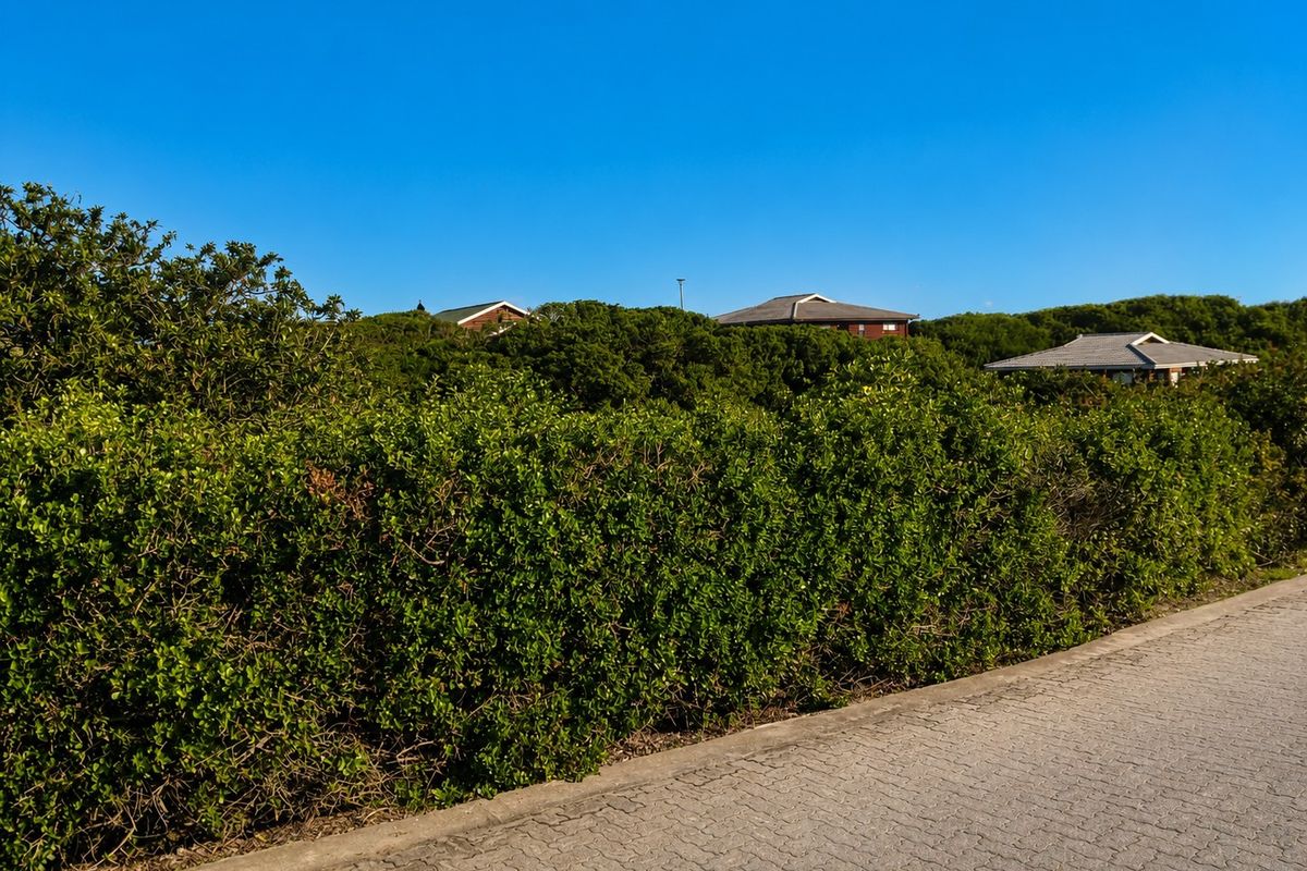 A view of a paved residential street bordered by dense, mature vegetation with distant houses visible in the background.