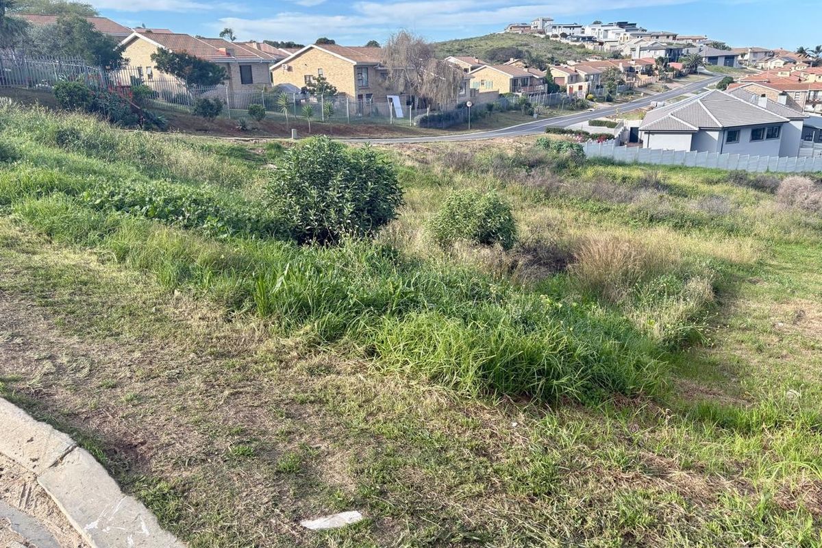 A view of a vacant residential plot featuring sloped terrain and natural grass, situated in a developed suburban neighborhood.