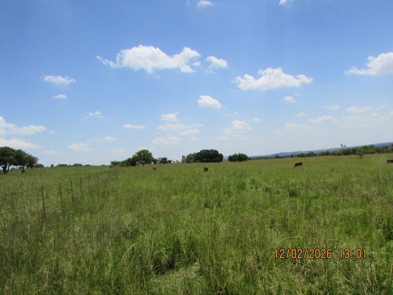Expansive open farm land featuring natural grassland and perimeter wire fencing under a clear blue sky.