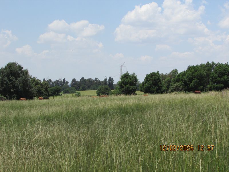 A view of the open pasture and surrounding trees on the farm property.