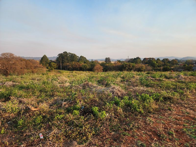 A view of an undeveloped residential plot featuring natural vegetation and mature trees in the background.
