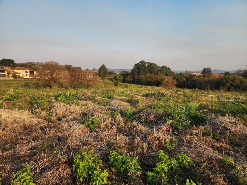 A view of an undeveloped residential plot featuring natural vegetation and surrounding landscape.