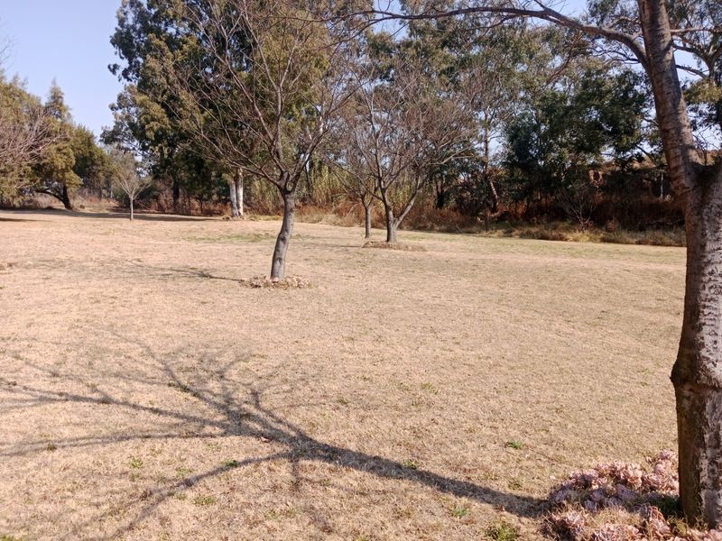 A spacious, open garden area featuring established trees and a large grass lawn, providing a natural outdoor setting.
