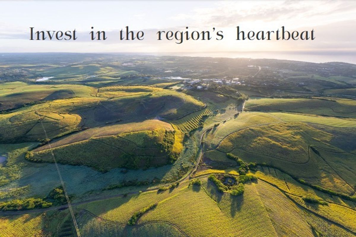 An expansive aerial view of rolling agricultural land and natural landscape, showcasing the vast potential of this vacant property.